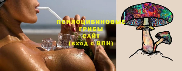 эйфоретик Нефтекумск