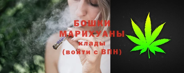 дмт Нея