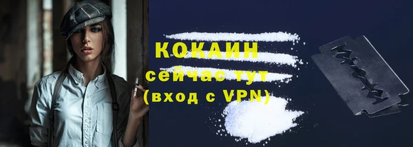 сатива Наволоки