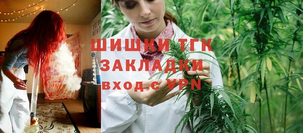 дмт Нея