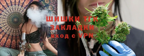 дмт Нея